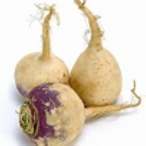 Farmers Fresh CSA