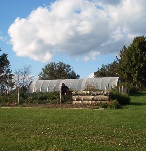Morning Fog Farm
