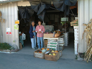 Otow Orchard