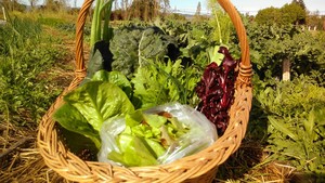 Sonoma Heritage Farms LLC
