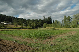 Moffett Farms