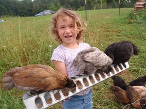 Birdsfoot Farm