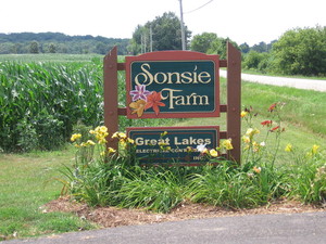 Sonsie Farm