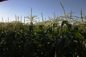 Stonewall Farm and Gardens no longer in business