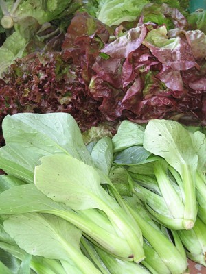 Townshend Farmers' Market