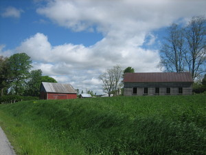 Muddy Fork Farm