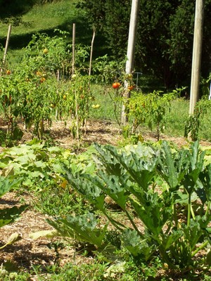 Ford's Farm