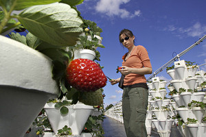 HFI Farms