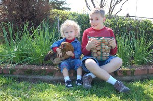 CC Family Farm