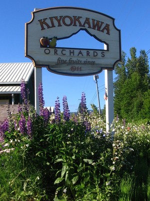 Kiyokawa Family Orchards
