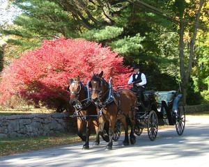Cedar Knoll Farm