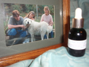 Sassy Springs Farm / Herbal Products
