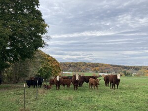Spring Creek Farm