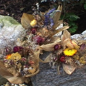 Sharon's Natural Gardens