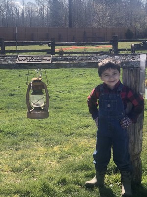 The Lantern Farm