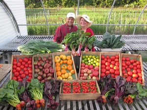 Vertical Horizon Farm
