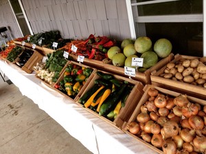Wild Fox Farm