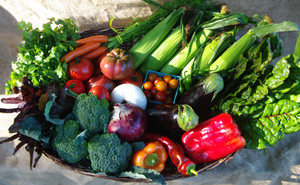 Winter Green Farm