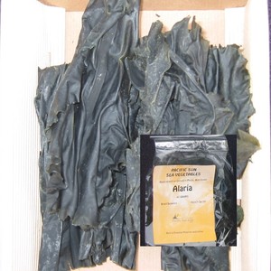Pacific Sun Kelp Ltd