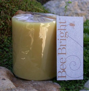 Bee Bright