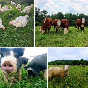 Good Hope Farmstead