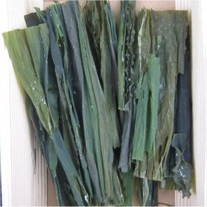 Pacific Sun Kelp Ltd