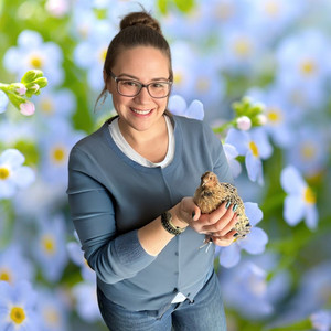 Forget-Me-Not Quail Farm
