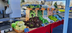 The Saturday Market by the River