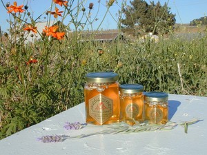 Marshall's Farm Honey