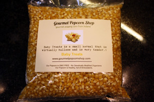 Gourmet Popcorn Shop