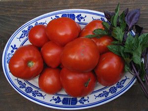 Garden Medicinals and Culinaries