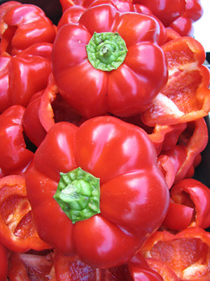 Garden Medicinals and Culinaries