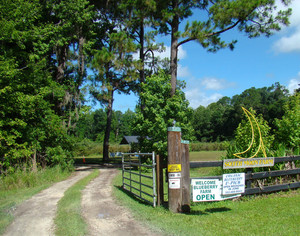 South Moon Organic Blueberry Farm