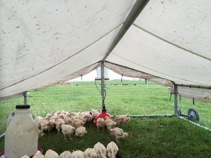 Harmon Creek Farms