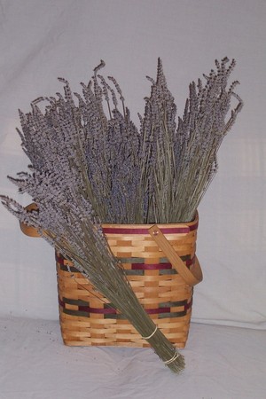 Lavender Hills of Kentucky, LLC