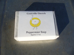 Conicville Ostrich Ltd