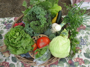 Nature's Table Farm