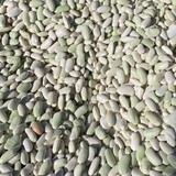 Tierra Vegetables Farm