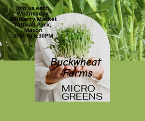 Buckwheat Farms