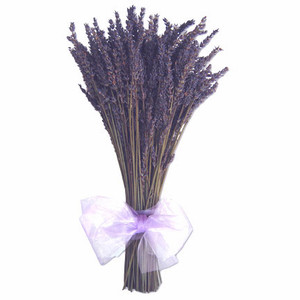 Lavender Wind Farm