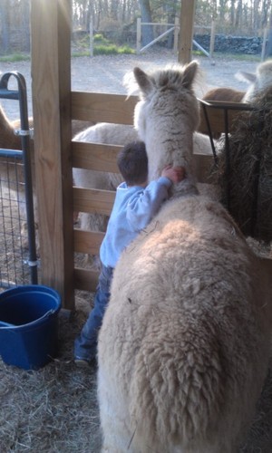 Green River Alpacas