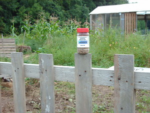 Chestnut Tree Corner Farm