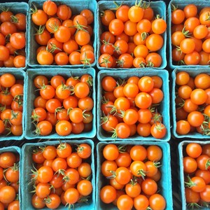 Kneehigh Farm
