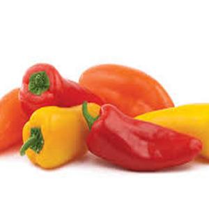 Sunshine Market Garden Ltd.
