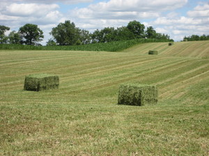 Heffron Farms