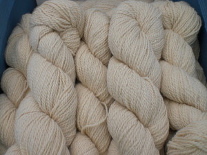 Blue Ribbon Alpacas