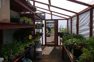 Uncle Nick's Plants and Produce
