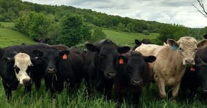 St. Croix Farm