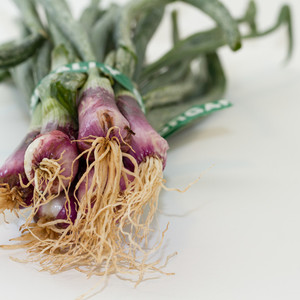 JR Organics