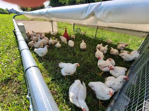 Waldron Farms LLC